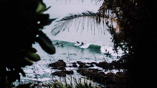 new zealand people riding on surfboards surf